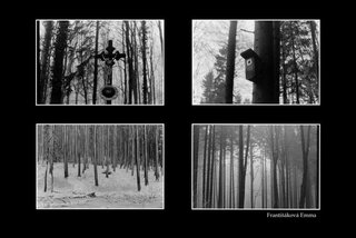 Ema Františáková – Analógová fotografia (kinofilm)