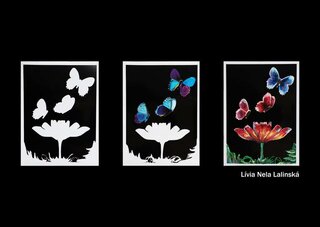 Lívia Nela Lalinská – Experimentálny fotogram