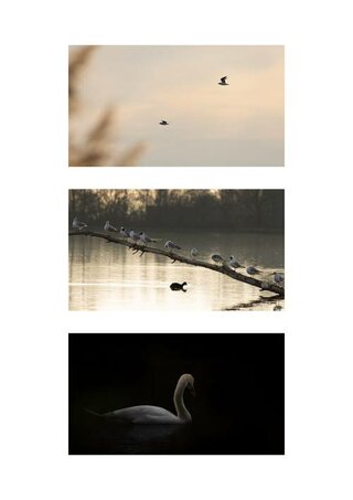 Marko Kadák – Emotívna fotografia