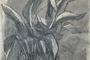 Zväčšiť fotografiu - Dda - kresba