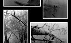 Karin Križovenská – Analógová fotografia (kinofilm)