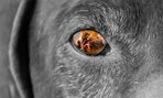 Zuzana Šušorová – Humanitárna reklamná fotografia