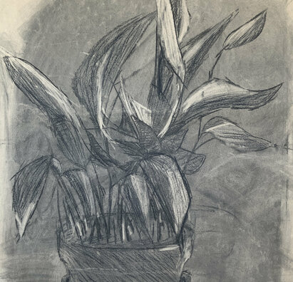 Život v našej škole